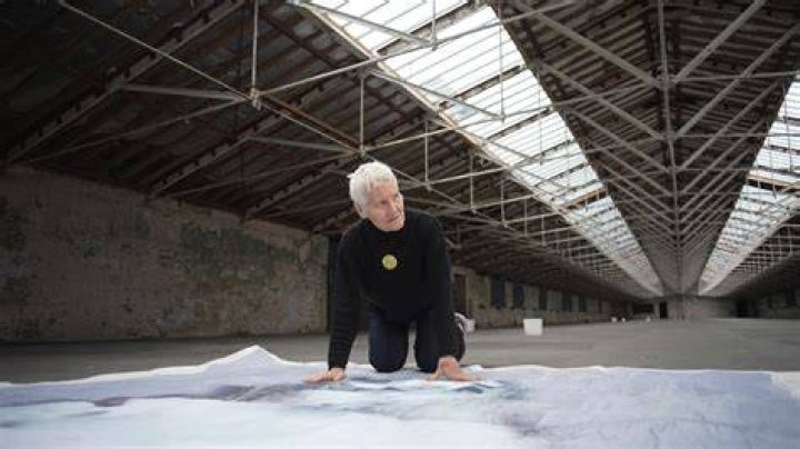 Ann Hamilton