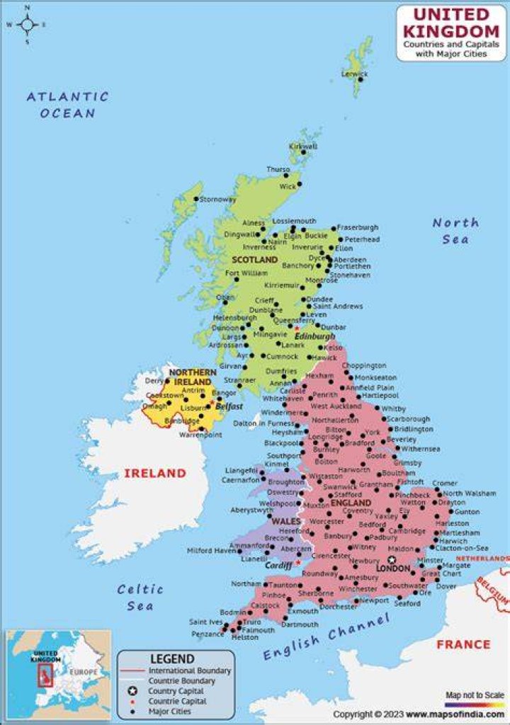 Britain's Got Talent Buzz