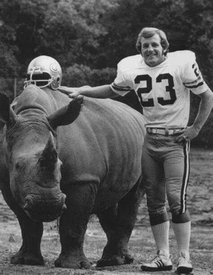 Randy Rhino